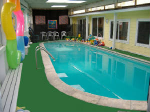 swimmingpool2009.jpg